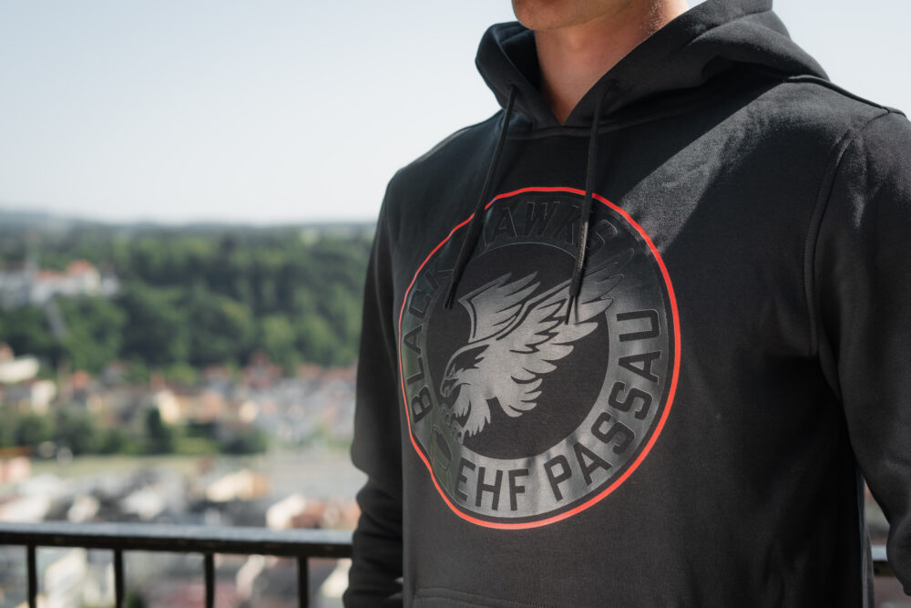 Hoodie „Classic Logo“ – Bild 2